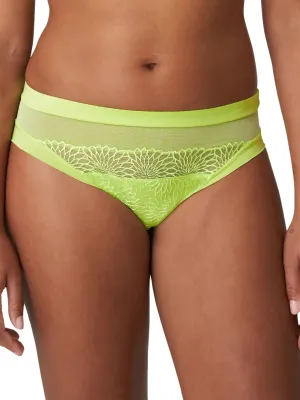 Sophora Rio Brief